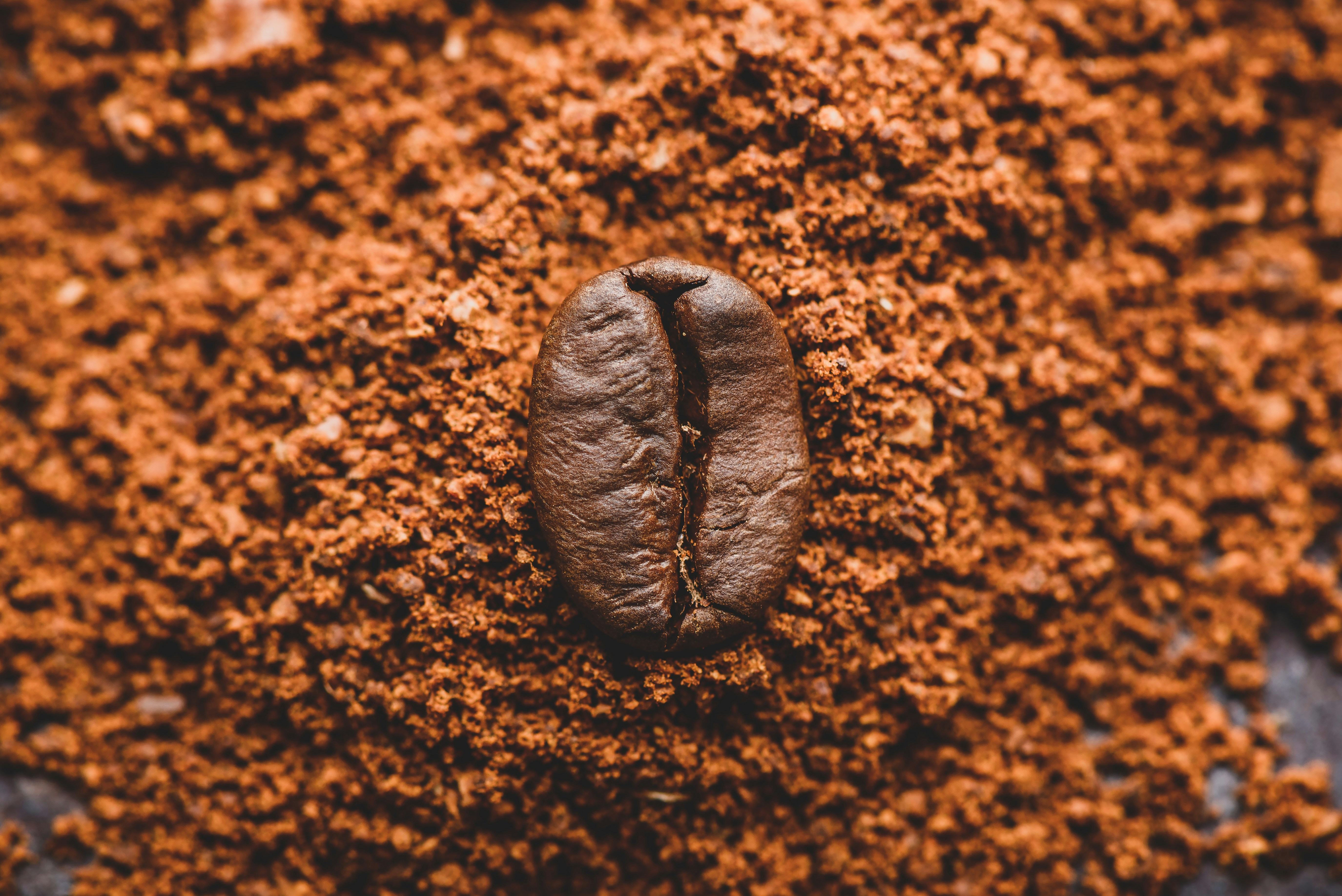 Espresso grinder