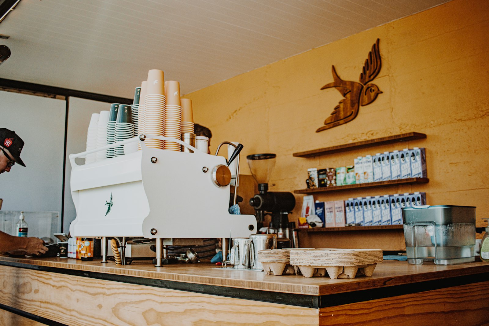 Home espresso machine and coffee supplies on a kitchen counter